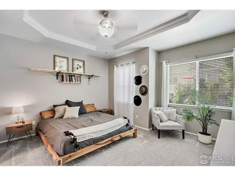 5509 Evangeline Dr, Windsor, CO 80550 photo 11
