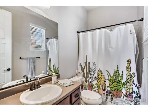 5509 Evangeline Dr, Windsor, CO 80550 photo 18
