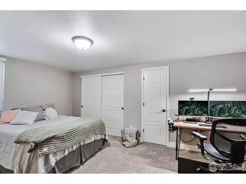 5509 Evangeline Dr, Windsor, CO 80550 photo 29