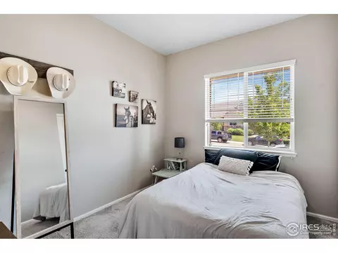 5509 Evangeline Dr, Windsor, CO 80550 photo 17