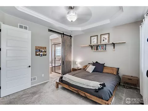5509 Evangeline Dr, Windsor, CO 80550 photo 12