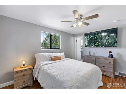 135 Ivy Ct, Windsor, CO 80550 photo 13