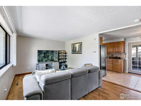 135 Ivy Ct, Windsor, CO 80550 photo 8