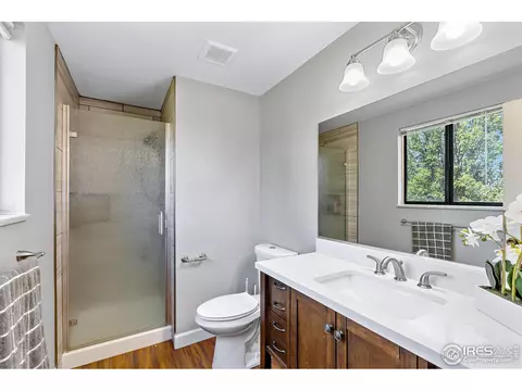 135 Ivy Ct, Windsor, CO 80550 photo 14