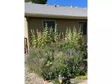 1012 N 3rd St, Johnstown, CO 80534 photo 35