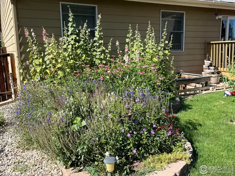 1012 N 3rd St, Johnstown, CO 80534 photo 32