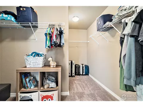 1379 Copeland Falls Rd, Windsor, CO 80550 photo 19