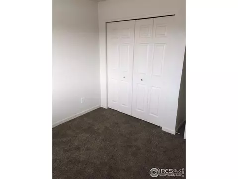 176 Calabria Dr, Windsor, CO 80550 photo 10