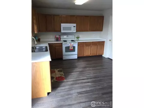 176 Calabria Dr, Windsor, CO 80550 photo 6