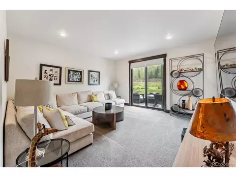 14 E Baron Way, Silverthorne, CO 80498 photo 8