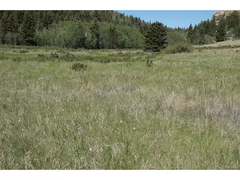 321 Forest Ln, Lake George, CO 80827