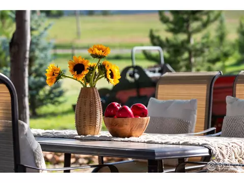 1870 Sherlyn Ct, Berthoud, CO 80513 photo 24