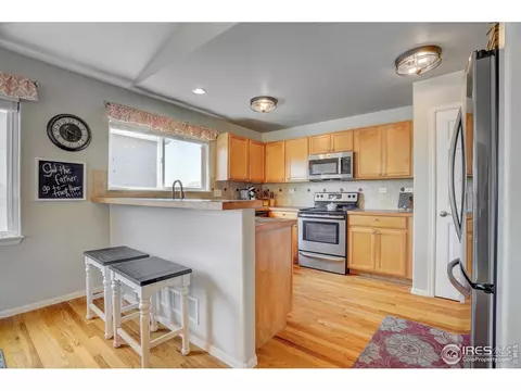 209 Windflower Way, Severance, CO 80550 photo 5