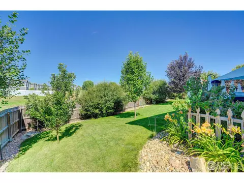 209 Windflower Way, Severance, CO 80550 photo 23