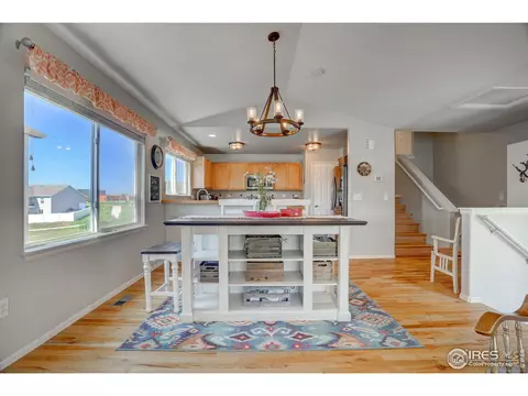 209 Windflower Way, Severance, CO 80550 photo 4