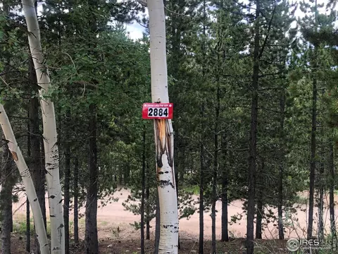 2884 Osage Trl, Red Feather Lakes, CO 80545