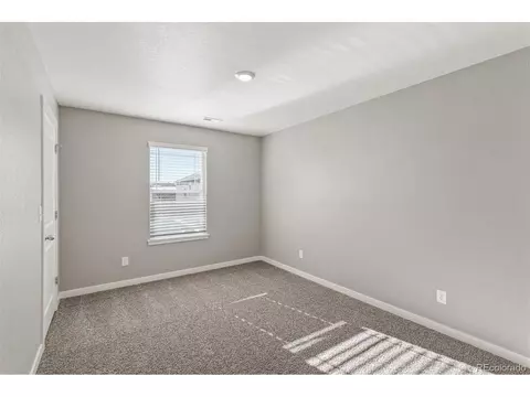 4514 Bishopsgate Dr, Windsor, CO 80550 photo 20