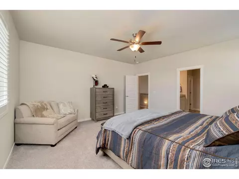 4553 Bishopsgate Dr, Windsor, CO 80550 photo 15