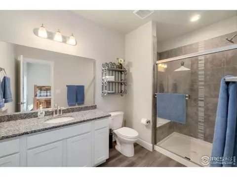 4553 Bishopsgate Dr, Windsor, CO 80550 photo 34
