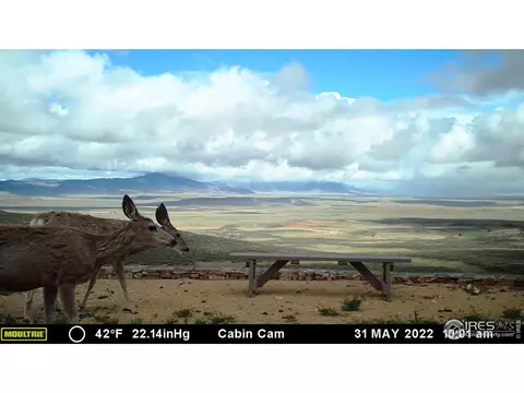 604 Drifter Dr, Red Feather Lakes, CO 80545