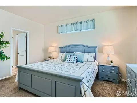 801 Mt Sneffels Ave, Windsor, CO 80550 photo 16