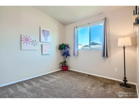 801 Mt Sneffels Ave, Windsor, CO 80550 photo 20