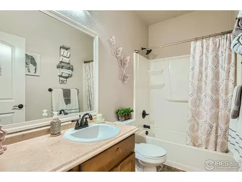 801 Mt Sneffels Ave, Windsor, CO 80550 photo 22