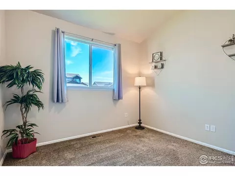 801 Mt Sneffels Ave, Windsor, CO 80550 photo 21
