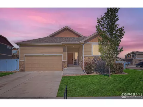 801 Mt Sneffels Ave, Windsor, CO 80550