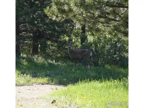 5200 Sugarloaf Rd, Boulder, CO 80302 photo 28