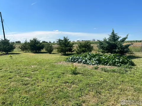 611 N Wilhelm Dr, Fleming, CO 80728 photo 5