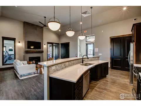 6690 Crystal Downs Dr #206, Windsor, CO 80550 photo 28