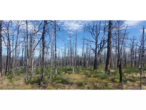 2298 Sigler Dr, Fort Garland, CO 81133
