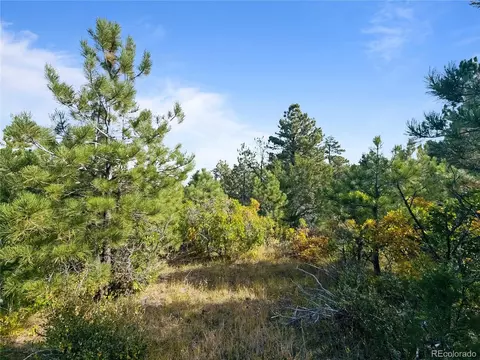 Undisclosed, Florence, CO 81226 photo 3