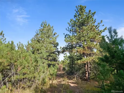 Undisclosed, Florence, CO 81226 photo 12