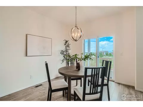 1962 Sweet Pea Dr, Windsor, CO 80550 photo 12