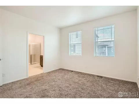 1962 Sweet Pea Dr, Windsor, CO 80550 photo 15