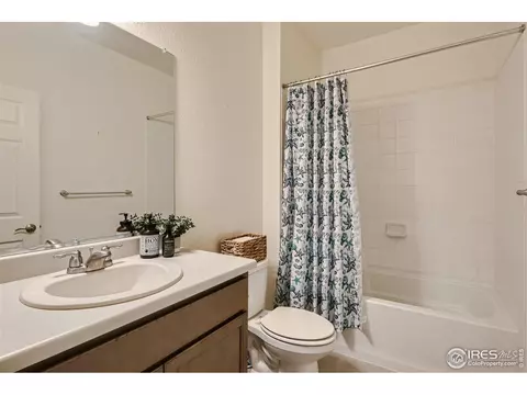 1962 Sweet Pea Dr, Windsor, CO 80550 photo 23