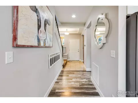 174 Halibut Dr, Windsor, CO 80550 photo 5