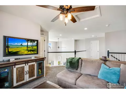 174 Halibut Dr, Windsor, CO 80550 photo 20