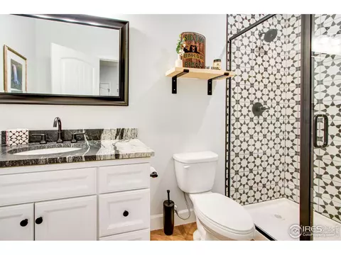 174 Halibut Dr, Windsor, CO 80550 photo 28