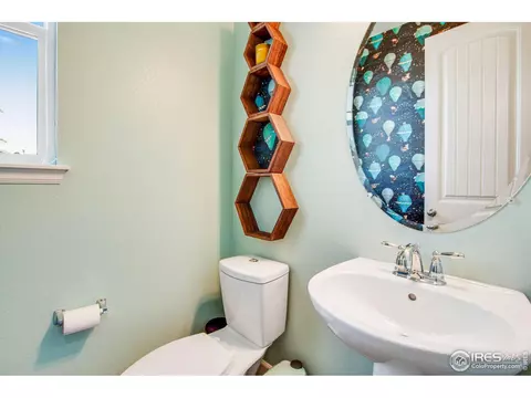 174 Halibut Dr, Windsor, CO 80550 photo 18