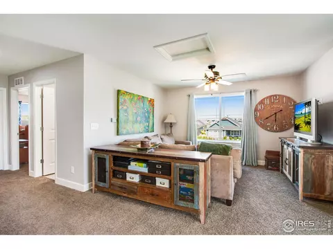 174 Halibut Dr, Windsor, CO 80550 photo 19
