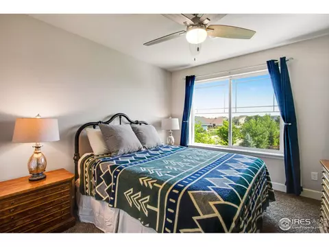 174 Halibut Dr, Windsor, CO 80550 photo 25
