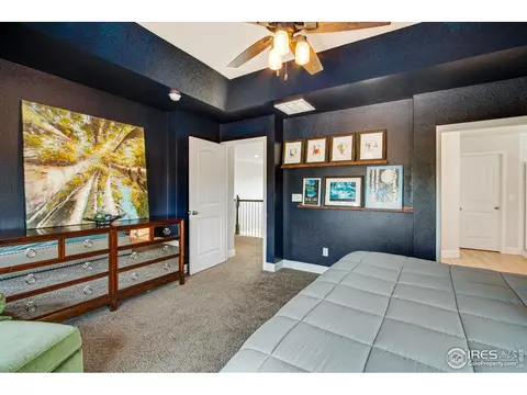174 Halibut Dr, Windsor, CO 80550 photo 23