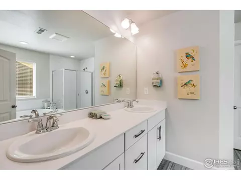 174 Halibut Dr, Windsor, CO 80550 photo 24