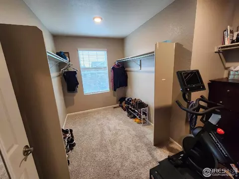 1674 Gratton Ct, Windsor, CO 80550 photo 16