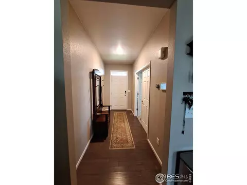 1674 Gratton Ct, Windsor, CO 80550 photo 3