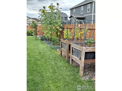 1674 Gratton Ct, Windsor, CO 80550 photo 30