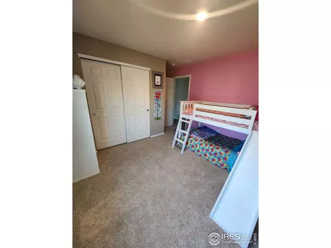 1674 Gratton Ct, Windsor, CO 80550 photo 18